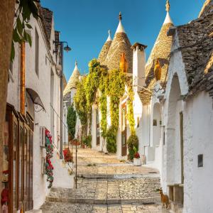 BAR02 - Εκδρομή στο ALBEROBELLO image 2