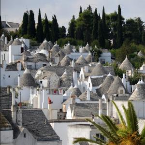 BAR02 - Εκδρομή στο ALBEROBELLO image 3