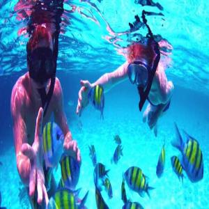 KHS-04 - Snorkelling στο φιόρδ Khawr Shamm image 2