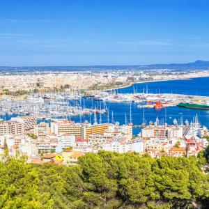 PMI-01 - Ξενάγηση στην Πάλμα δε Μαγιόρκα  image 3