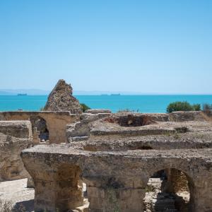 TUN-14 - Μεγάλη Ξενάγηση  στην Τύνιδα ολοήμερη, με μεσημεριανό image 2